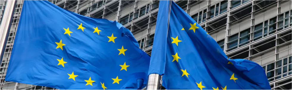 EU plans to reform the fiscal rules.